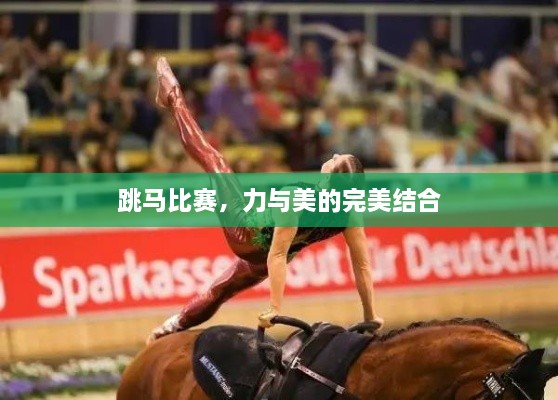 跳馬比賽，力與美的完美結合