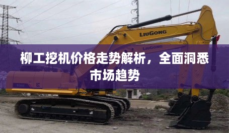 柳工挖機價格走勢解析，全面洞悉市場趨勢