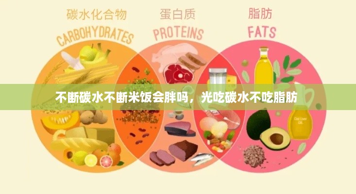 不斷碳水不斷米飯會(huì)胖嗎，光吃碳水不吃脂肪 