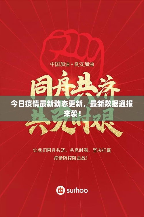 今日疫情最新動態(tài)更新，最新數(shù)據(jù)通報來襲！