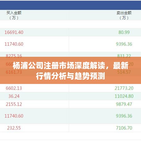 楊浦公司注冊市場深度解讀，最新行情分析與趨勢預測
