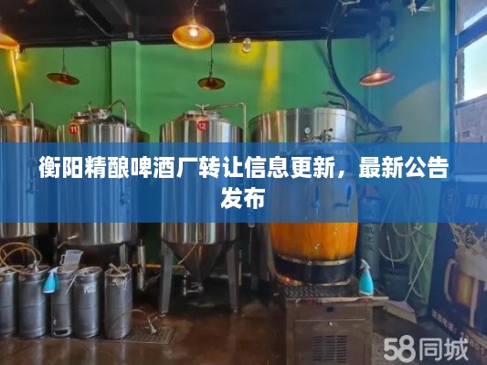 衡陽精釀啤酒廠轉(zhuǎn)讓信息更新，最新公告發(fā)布