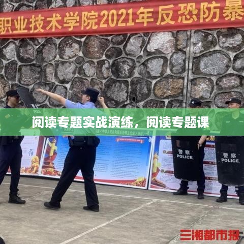 閱讀專題實(shí)戰(zhàn)演練，閱讀專題課 