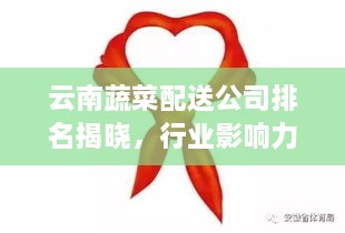 云南蔬菜配送公司排名揭曉，行業(yè)影響力大揭秘！