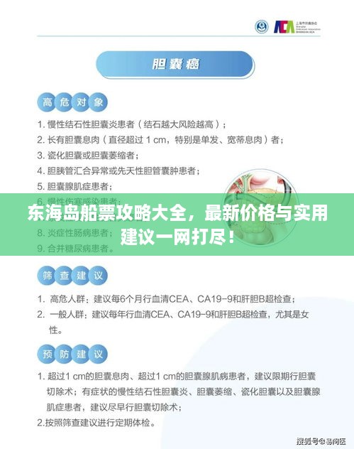 東海島船票攻略大全，最新價(jià)格與實(shí)用建議一網(wǎng)打盡！