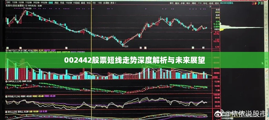 002442股票短線走勢(shì)深度解析與未來展望