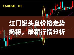 江門罐頭魚價格走勢揭秘，最新行情分析