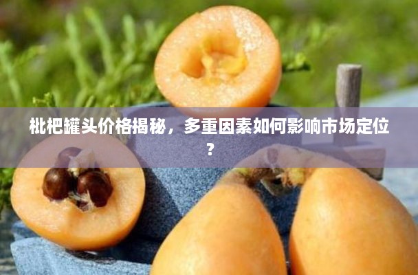 枇杷罐頭價(jià)格揭秘，多重因素如何影響市場定位？