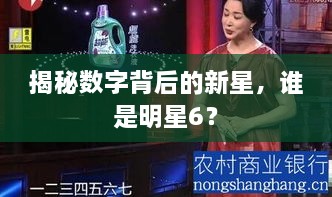 揭秘?cái)?shù)字背后的新星，誰是明星6？