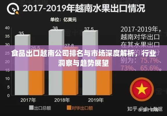 食品出口越南公司排名與市場深度解析，行業(yè)洞察與趨勢展望