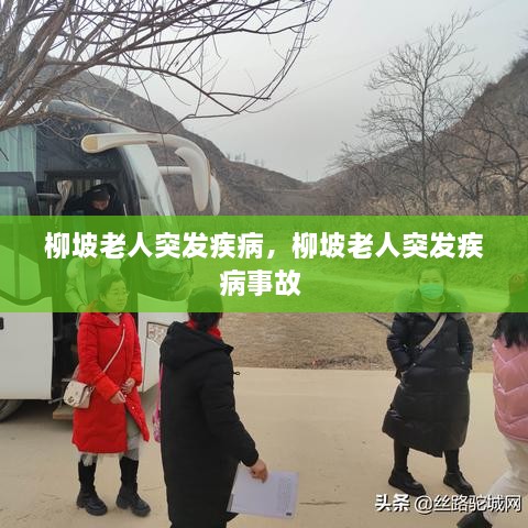 柳坡老人突發(fā)疾病，柳坡老人突發(fā)疾病事故 