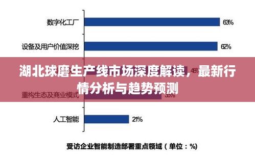 湖北球磨生產(chǎn)線市場(chǎng)深度解讀，最新行情分析與趨勢(shì)預(yù)測(cè)