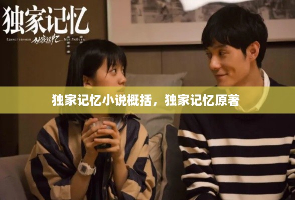 獨家記憶小說概括，獨家記憶原著 
