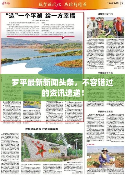 羅平最新新聞頭條，不容錯過的資訊速遞！