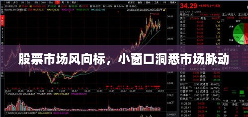 股票市場(chǎng)風(fēng)向標(biāo)，小窗口洞悉市場(chǎng)脈動(dòng)