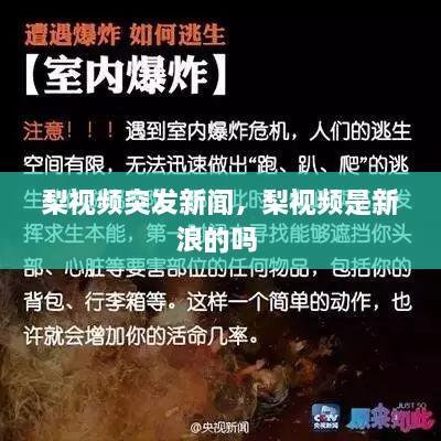 梨視頻突發(fā)新聞，梨視頻是新浪的嗎 