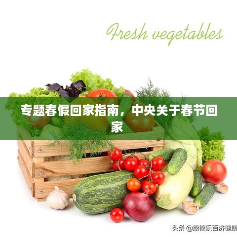 專題春假回家指南，中央關(guān)于春節(jié)回家 