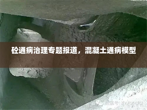 砼通病治理專題報(bào)道，混凝土通病模型 