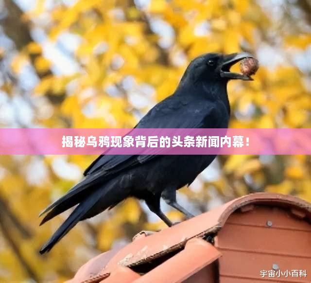 工程案例 第16頁