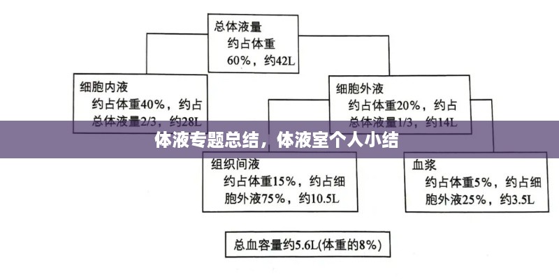 體液專題總結(jié)，體液室個人小結(jié) 