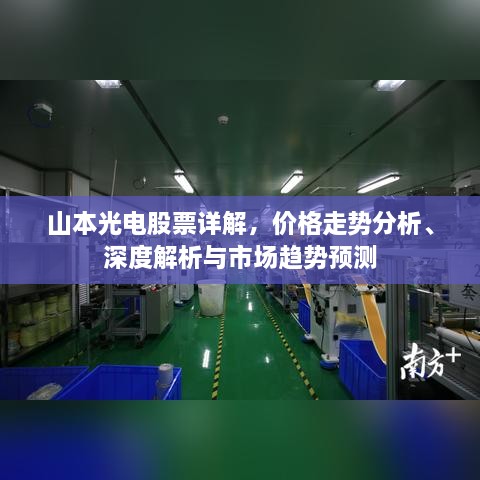 山本光電股票詳解，價格走勢分析、深度解析與市場趨勢預(yù)測