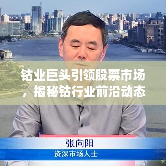 鈷業(yè)巨頭引領(lǐng)股票市場(chǎng)，揭秘鈷行業(yè)前沿動(dòng)態(tài)與未來趨勢(shì)