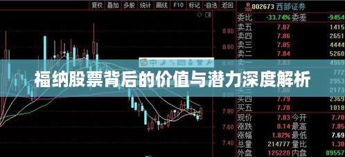福納股票背后的價(jià)值與潛力深度解析