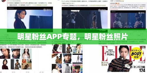明星粉絲APP專題，明星粉絲照片 