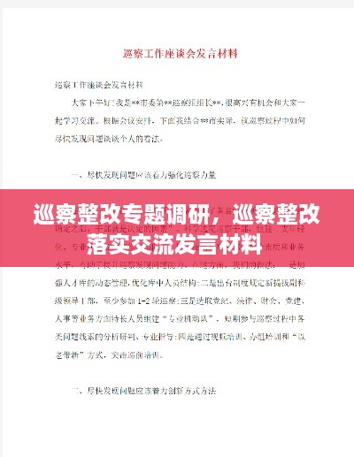 巡察整改專題調(diào)研，巡察整改落實(shí)交流發(fā)言材料 
