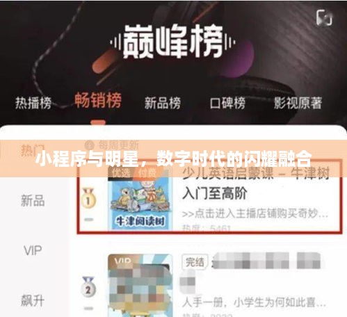 小程序與明星，數(shù)字時代的閃耀融合