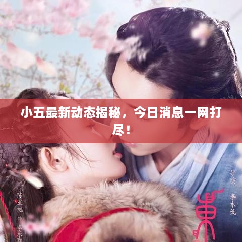 小五最新動(dòng)態(tài)揭秘，今日消息一網(wǎng)打盡！