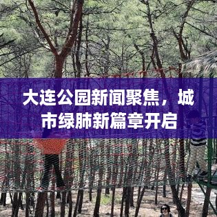大連公園新聞聚焦，城市綠肺新篇章開(kāi)啟