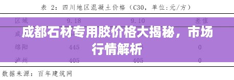 成都石材專用膠價(jià)格大揭秘，市場(chǎng)行情解析