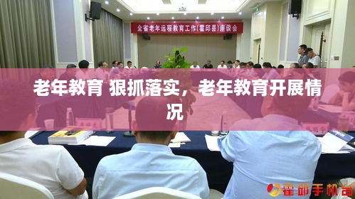 老年教育 狠抓落實(shí)，老年教育開展情況 