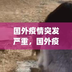 工程案例 第8頁