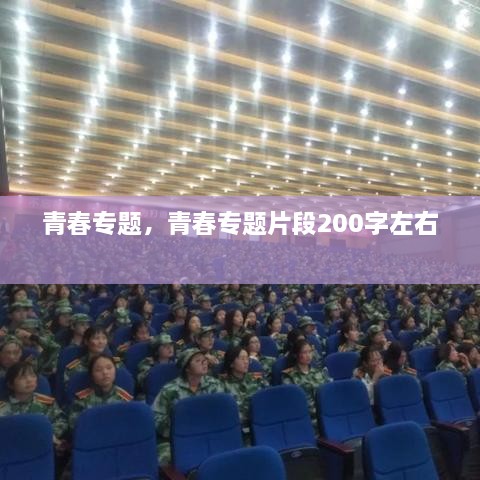 青春專題，青春專題片段200字左右 