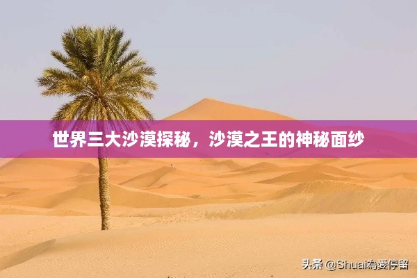 世界三大沙漠探秘，沙漠之王的神秘面紗