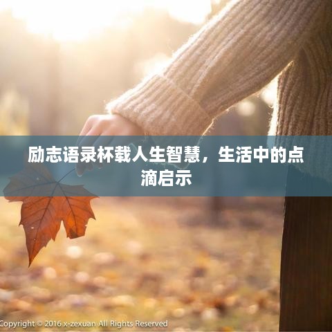 勵志語錄杯載人生智慧，生活中的點滴啟示