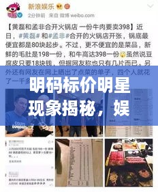 明碼標(biāo)價明星現(xiàn)象揭秘，娛樂圈的新挑戰(zhàn)與觀察