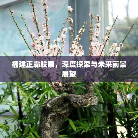 產(chǎn)品展示 第7頁(yè)