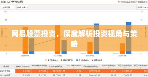 網(wǎng)易股票投資，深度解析投資視角與策略