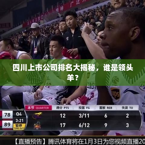 四川上市公司排名大揭秘，誰是領(lǐng)頭羊？
