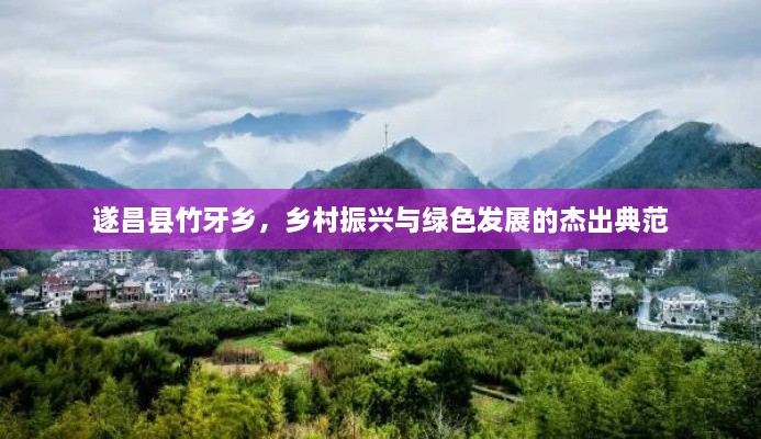 遂昌縣竹牙鄉(xiāng)，鄉(xiāng)村振興與綠色發(fā)展的杰出典范