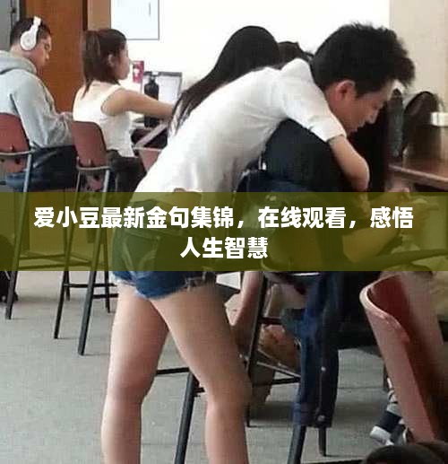 愛(ài)小豆最新金句集錦，在線觀看，感悟人生智慧