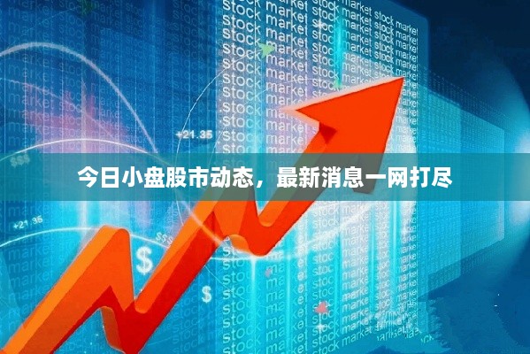 今日小盤股市動態(tài)，最新消息一網打盡
