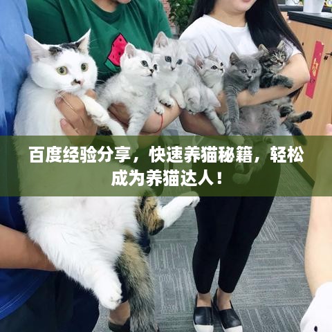 百度經(jīng)驗(yàn)分享，快速養(yǎng)貓秘籍，輕松成為養(yǎng)貓達(dá)人！