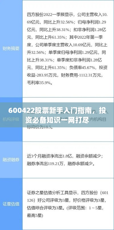 600422股票新手入門指南，投資必備知識(shí)一網(wǎng)打盡