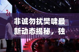 非誠勿擾樊嘯最新動態(tài)揭秘，獨家爆料吸引眼球！