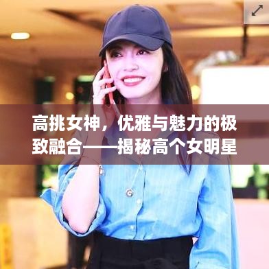 高挑女神，優(yōu)雅與魅力的極致融合——揭秘高個(gè)女明星的魅力風(fēng)采